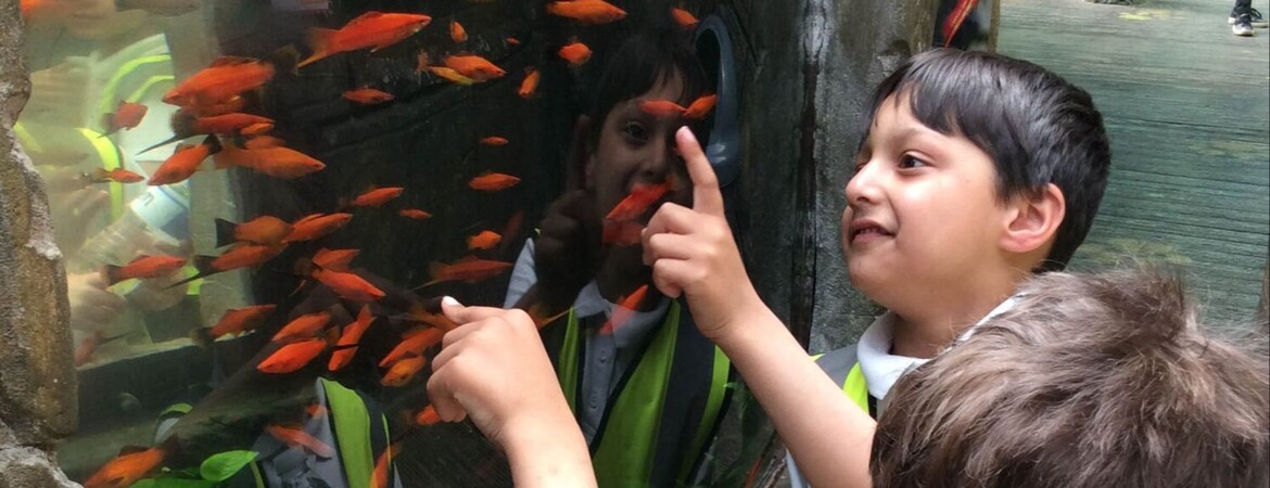 Donaldson Class  1 - Tropical World