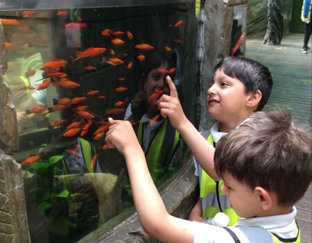 Donaldson Class  1 - Tropical World