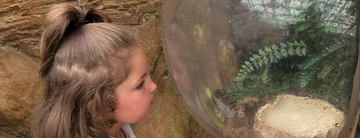 Donaldson 2 Class - Tropical World Visit 