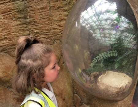 Donaldson 2 Class - Tropical World Visit 